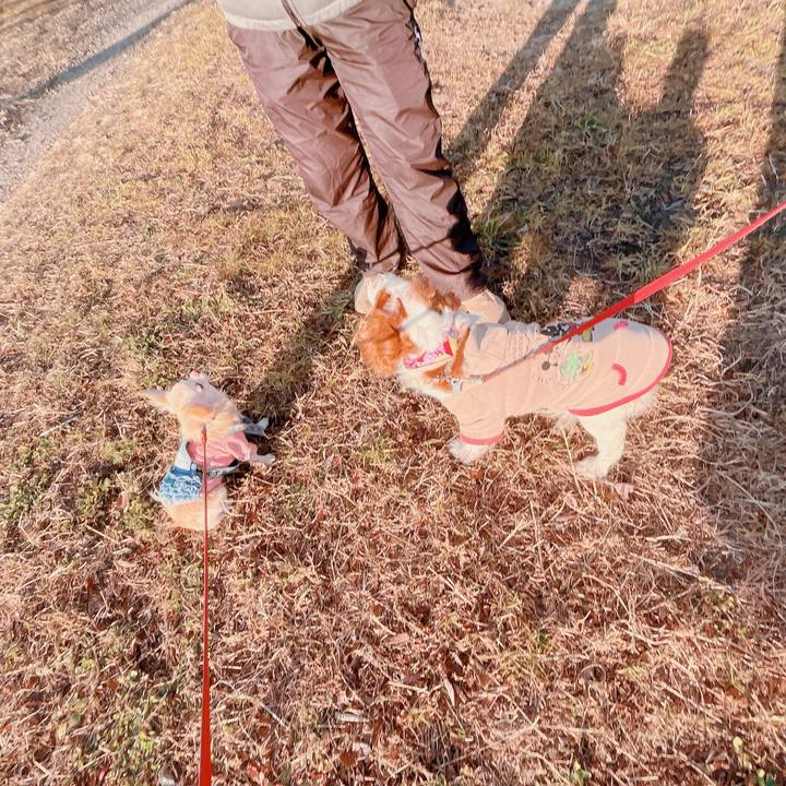 00f07cd6 13f2 4f81 a614 6ef547852b89 1673431451530