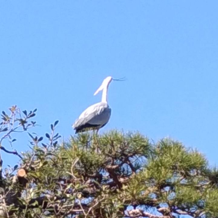 00f08f0b afd2 4ad5 9b51 48355b7697f2 1555148629977