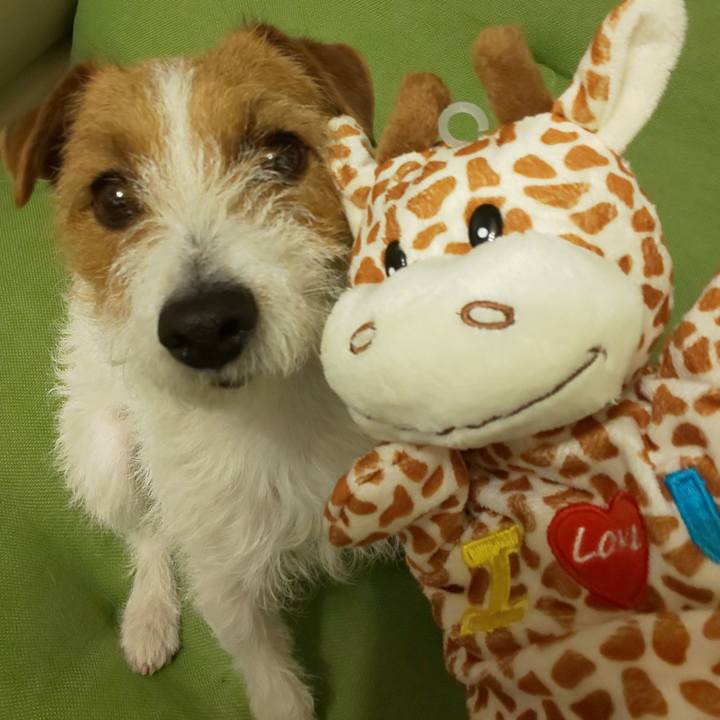 00f09158 29cb 4117 af6f 30c8394f99c5 1553116335582