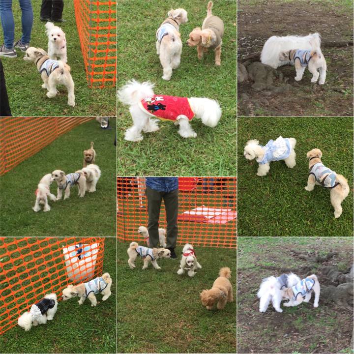 00f0a823 fb90 4cea 9874 542d0a43643d 1539554949371