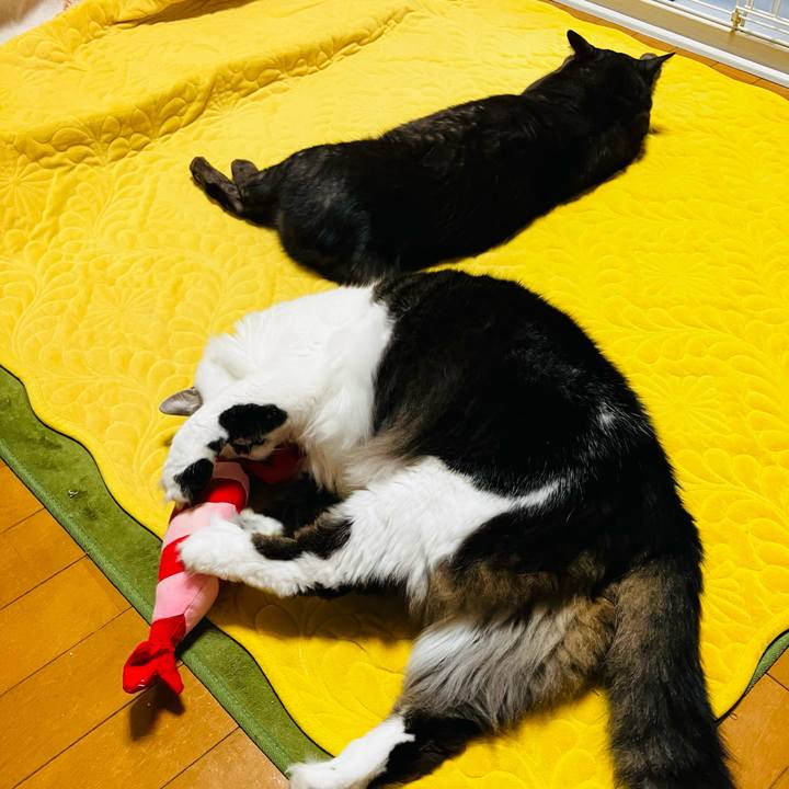 00f0bbd2 14af 4f02 b972 97a8565b7642 1742000601328