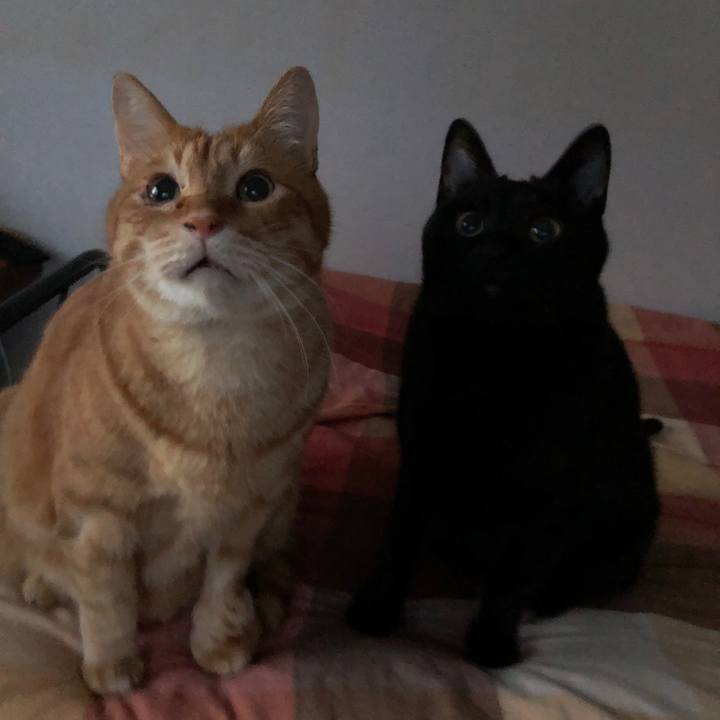 00f0d45e ad35 4b28 8d63 39c4809d03d4 1676582249588