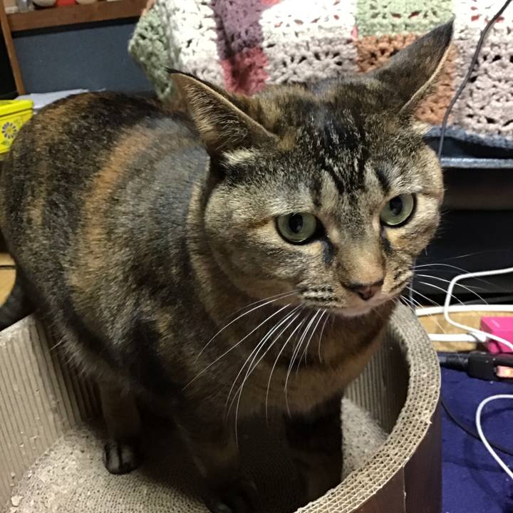 00f0e659 5c63 479c 867e 3148fb263708 1705397350418