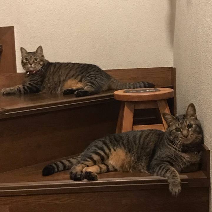 00f0f704 54c1 456b 9e90 02e6c54746e4 1630416670015