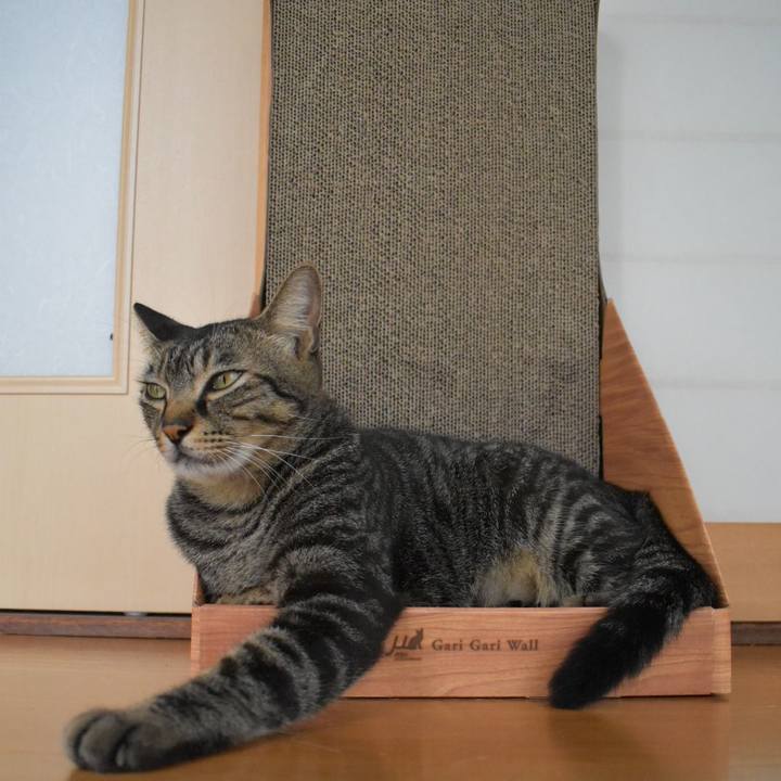 00f0ff8b beaa 4f2d 9eec c53697f05953 1566434951219