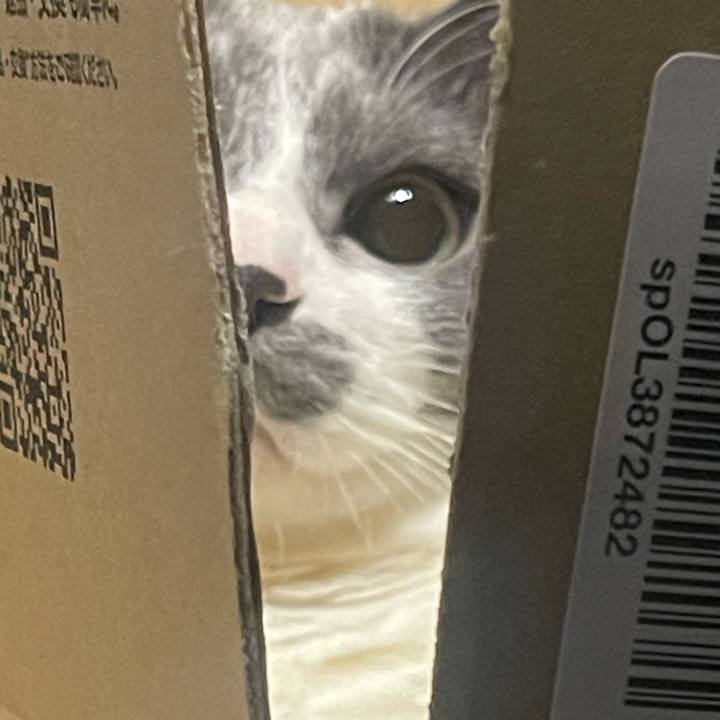 00f10e4d 7836 4d42 9d77 25527e006e47 1714277183866