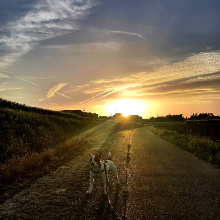 00f10f02 1195 4a8c b66f 35c9f8f9afe1 1524664704446