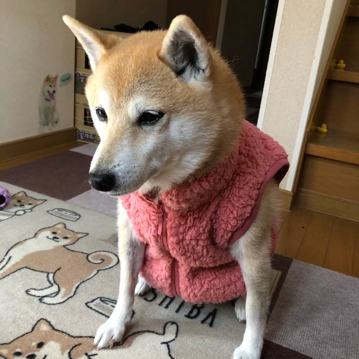 00f11166 3bf9 4765 a2d3 5320ea8bd6d1 1576720128751