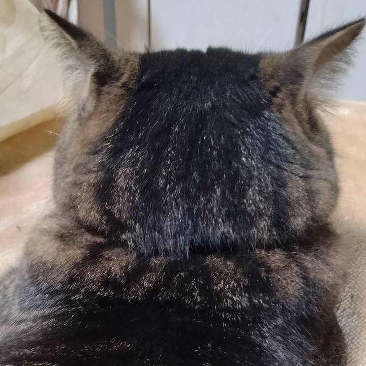 00f13c3f eccd 49b4 8fa0 2c1df60108bc 1704527771121