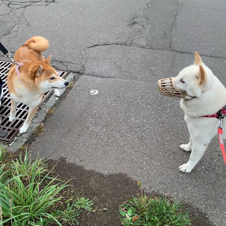 00f151d4 6b17 4fa1 8750 0c02badc46c0 1565564136133