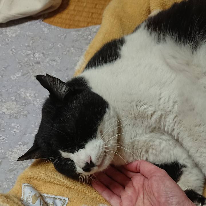 00f1b136 0fc4 48a1 8f91 26379574c7a4 1647427797782