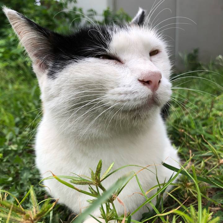 00f1c519 ae88 47c9 b164 2b96d559cbdb 1599085535927