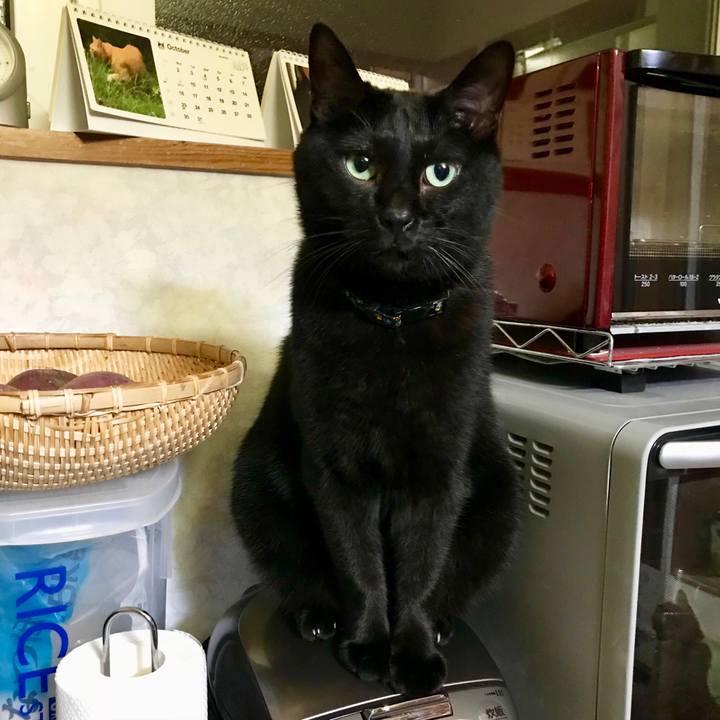 00f1ff45 2dde 45e9 924b b87494e3ff29 1508068577562