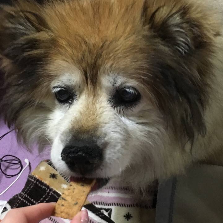 00f20ec4 1cb8 4b44 bd70 48039f4b280c 1619225348133