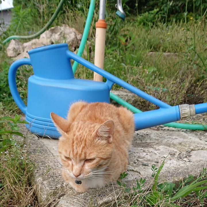 00f224e7 8812 44f5 805b e028f28c71f7 1561583065443