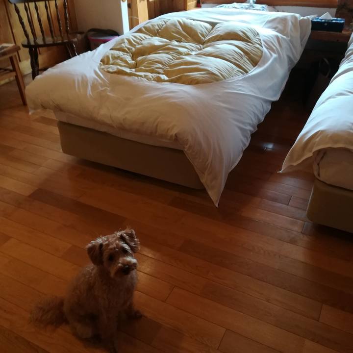 00f22531 2fa3 4557 9774 44cfe0659afa 1563608502654