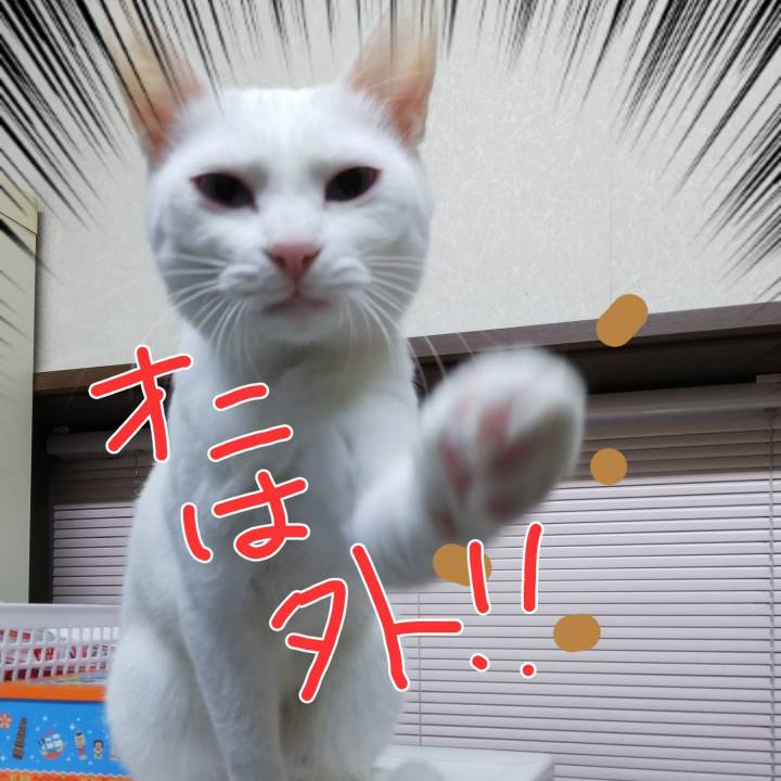 00f232c4 cbec 4609 ac08 82d137621baa 1549108047997