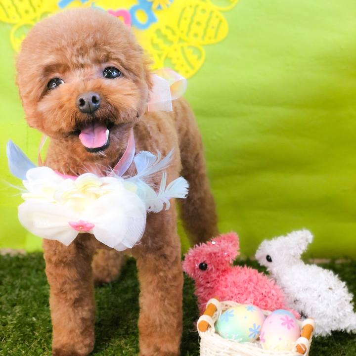 00f2799e 0600 4909 91d1 13b28f4aacfe 1583639331564