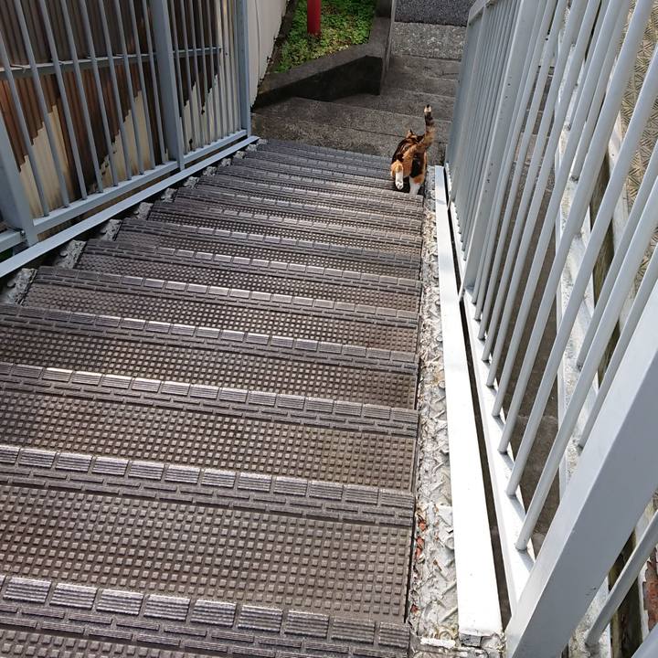 00f28a5b ff48 4fff 92b8 ed17c5897228 1588640978086