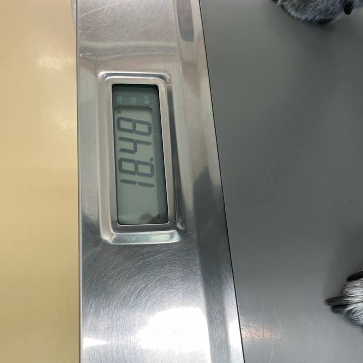 00f28f2d 4cfa 47d2 84d7 ebee785262f3 1760413211477