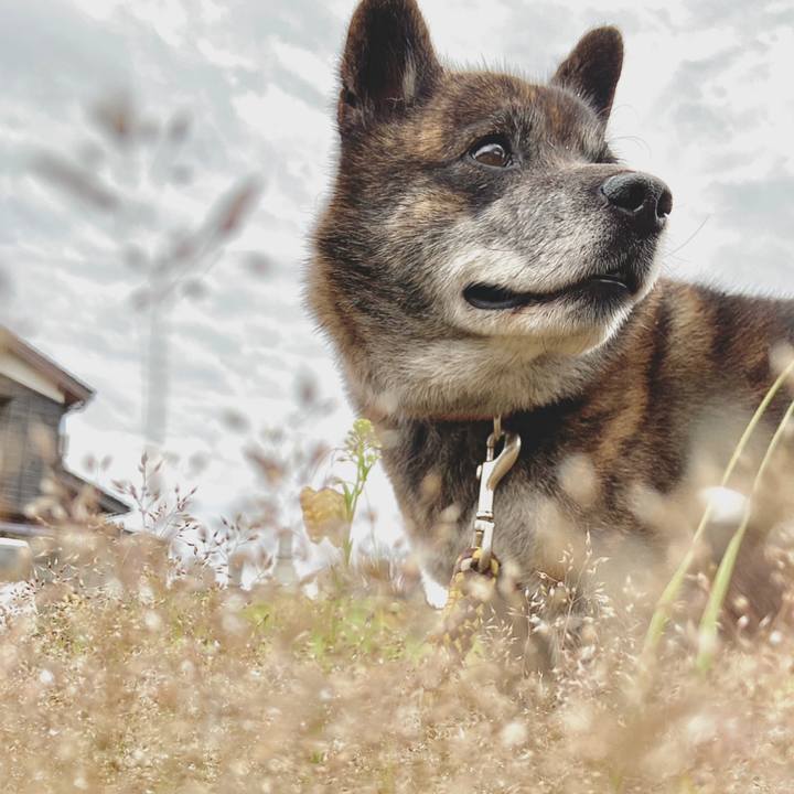 00f2986c 0aba 4aaf a002 0acc9bbe54d0 1621156242066