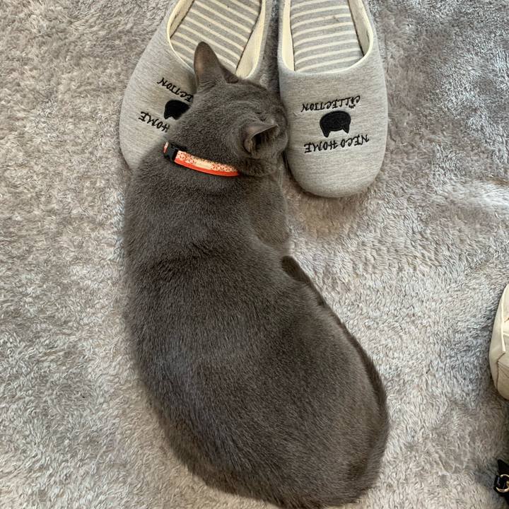 00f29aeb 4d9b 4fb8 ae83 0ece192f06dc 1619066009682