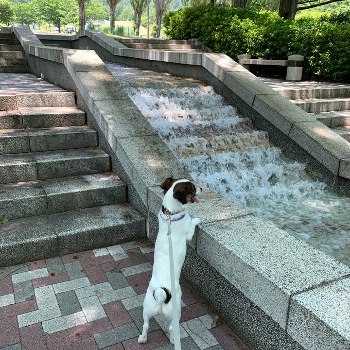 00f2ceb8 e17f 444f b030 6948a2a37b89 1592044785976