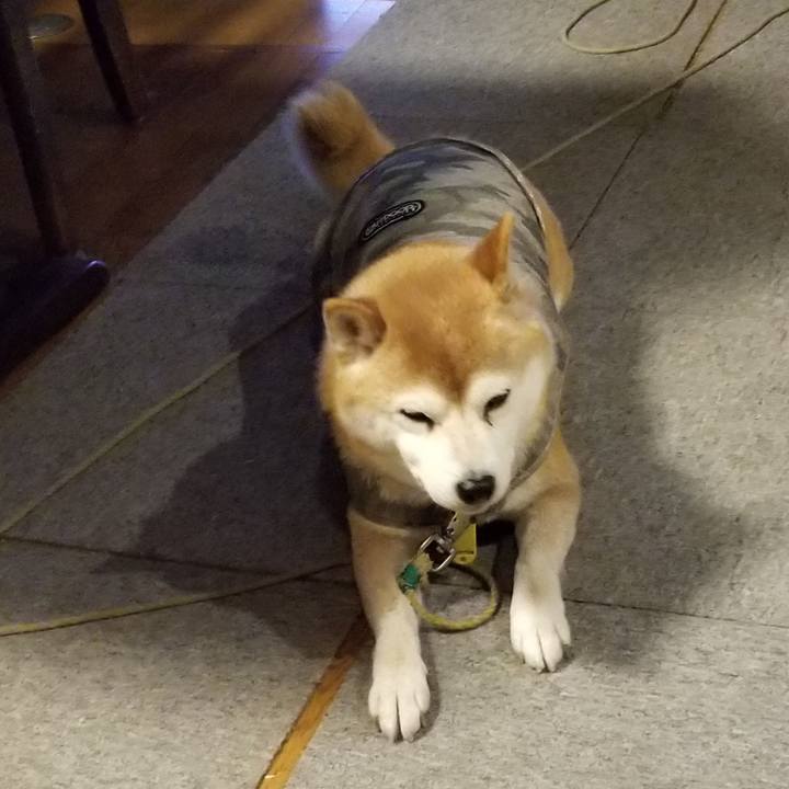 00f2e0de 8c04 44bf 8dbe 21b79474aa45 1645521085967