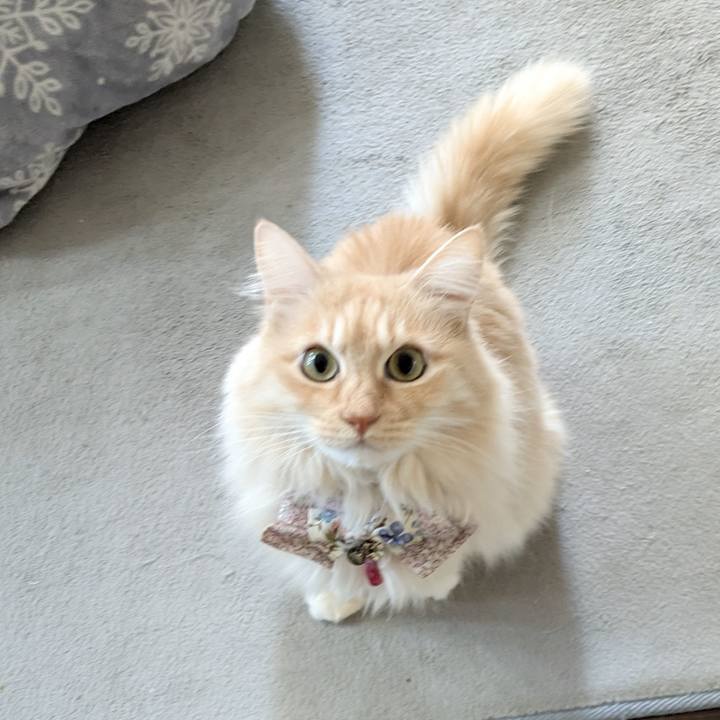 00f2fe79 b6b0 4c8a bb80 2b020b3d3a2d 1769481778828