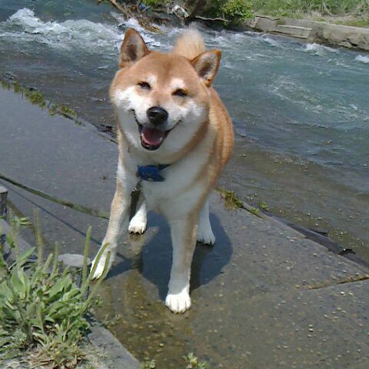 00f352d2 e35c 4c99 b5c5 d0917e0f8deb 1557118049173