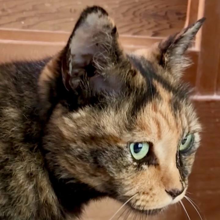 00f3883d 262f 4e51 bbe6 667c7449edf1 1750474260232