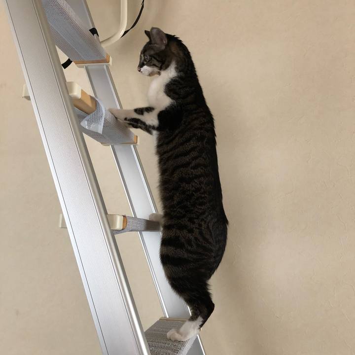 00f3f0cf a8eb 43bf 8f2e 7e0b79d4cce1 1518351642174