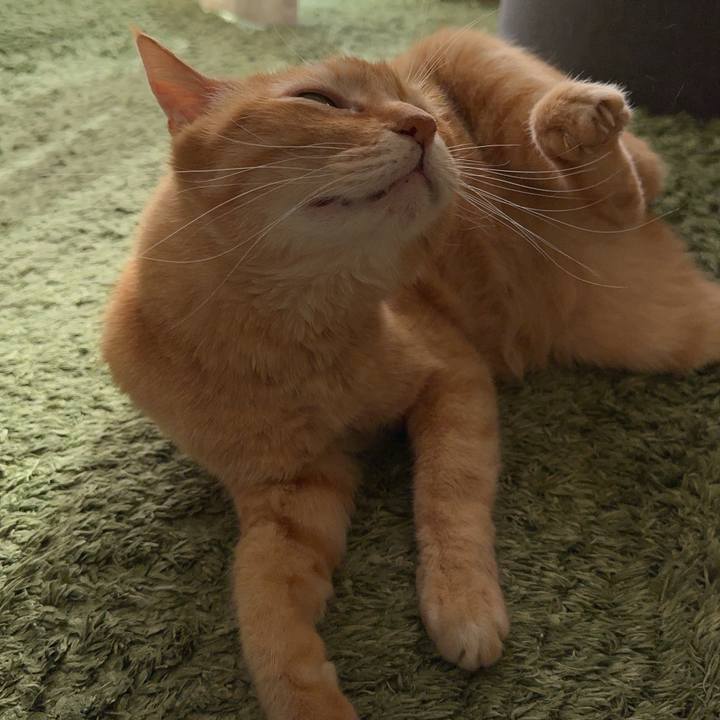 00f402d1 74ce 4d47 a2ba b5cb6cd41871 1759190889330