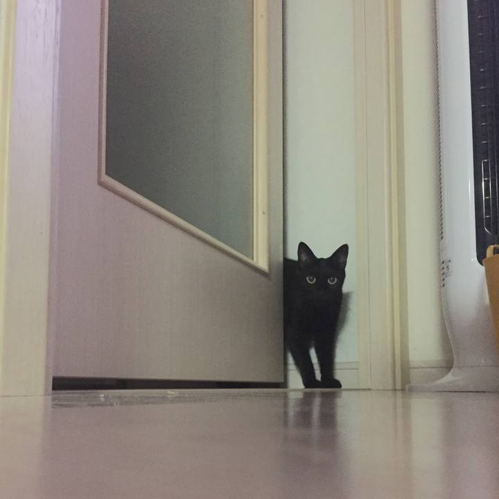 00f40bfc 7698 49a0 9c91 2d39a357fdcf 1507967472487