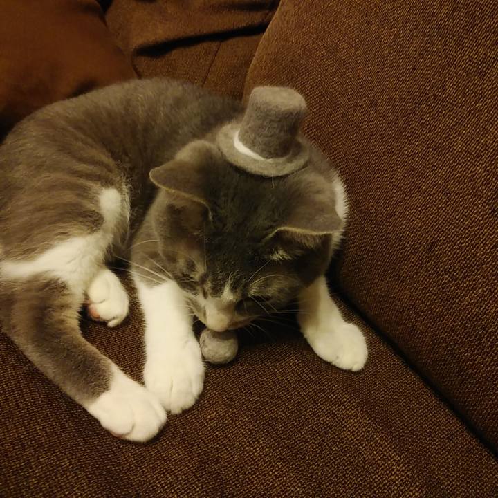 00f42075 6bfe 43ea 93fb 0f828b0856e5 1592577175304