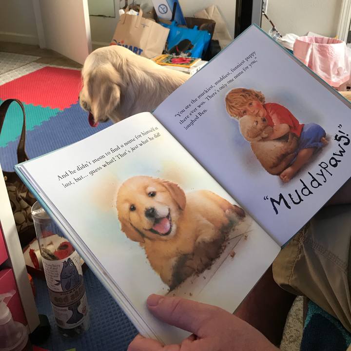 00f46c17 5448 40b5 aca5 51a9346eea42 1514453146746