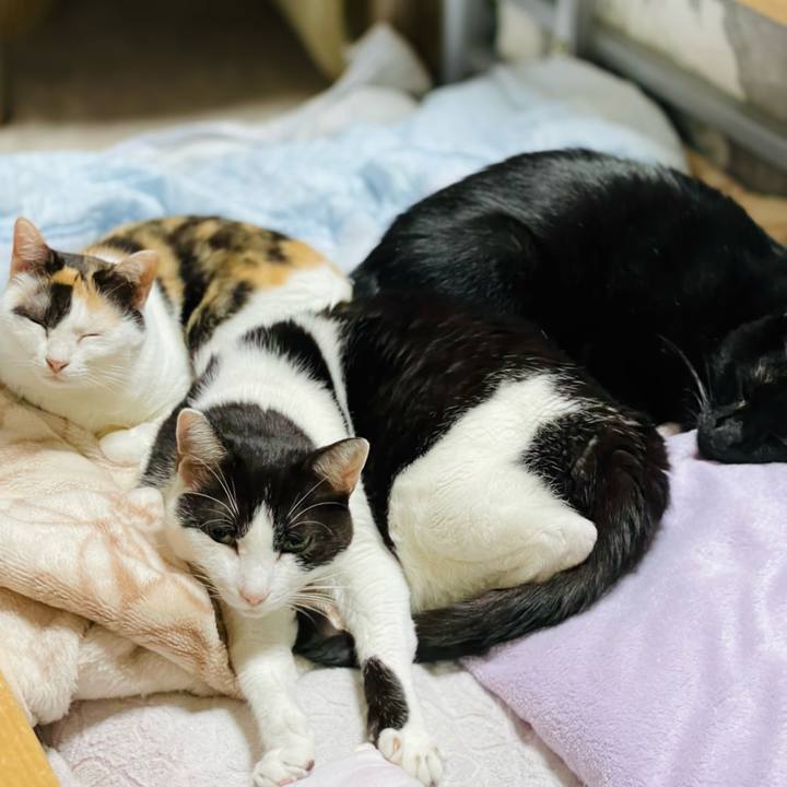 00f479e2 10be 4267 82d4 1f1878048870 1635909706484