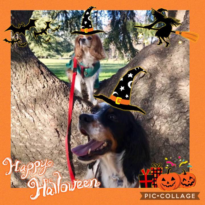 00f4933b d77f 4835 b4ef a134c0a04c9c 1571903592498