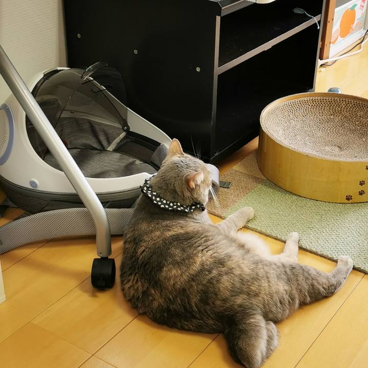 00f4ae3a 4a78 4096 9fd5 1d06884fdc78 1656046818316