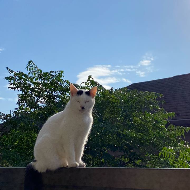 00f4db71 7291 4f6f 9a33 91865774d290 1604297586265