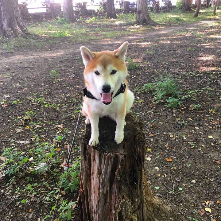 00f4e114 d842 481f 8854 7b9a8e00fb9a 1596155610074