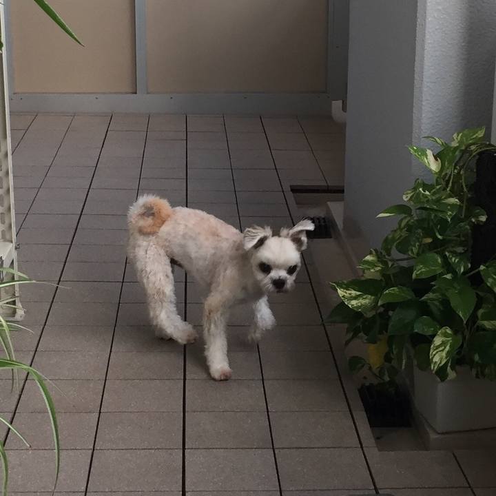 00f4e462 f9cc 4504 881d 08cb92a66d0a 1538899268038