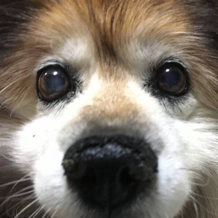 00f521c5 3cc5 46fd 95a4 fe34af3c188b 1596998498982