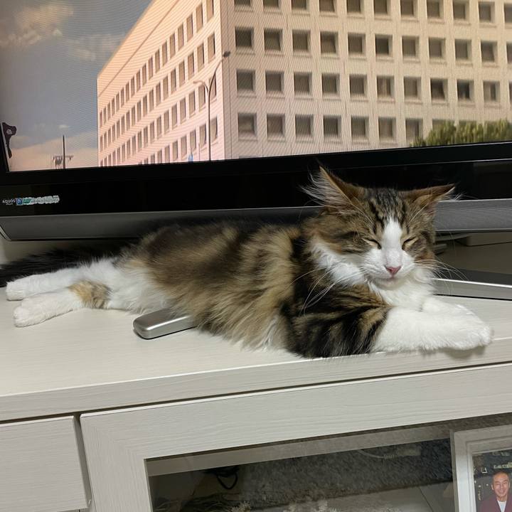 00f527c9 fda3 484d b3bd 28610d828430 1636033761496