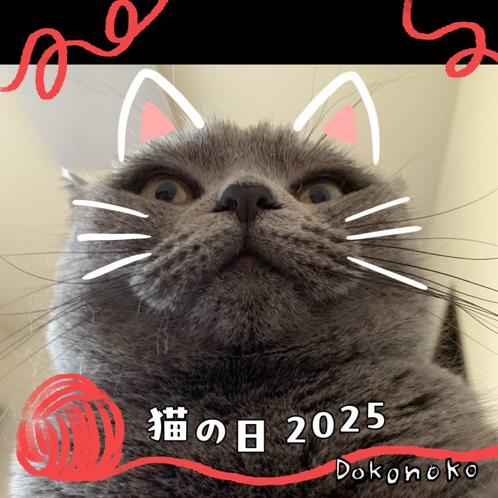 00f53325 03a6 4464 9207 53e4b7c67ec4 1740150514179