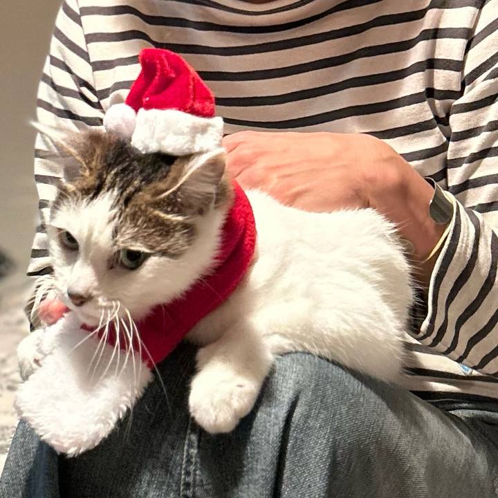 00f54556 9ea1 4c4c 9b8c e181fc5cc6f9 1734794404524