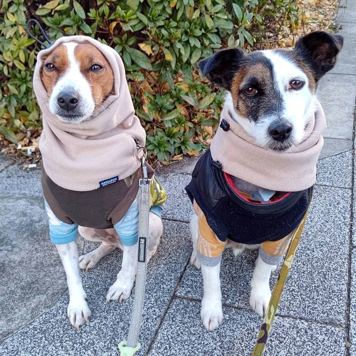 00f54cd0 cdd7 486b 8750 306fdf9c170b 1642721146319