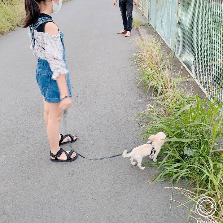 00f58578 3d62 405a bb13 4ee8adc44390 1592659434044