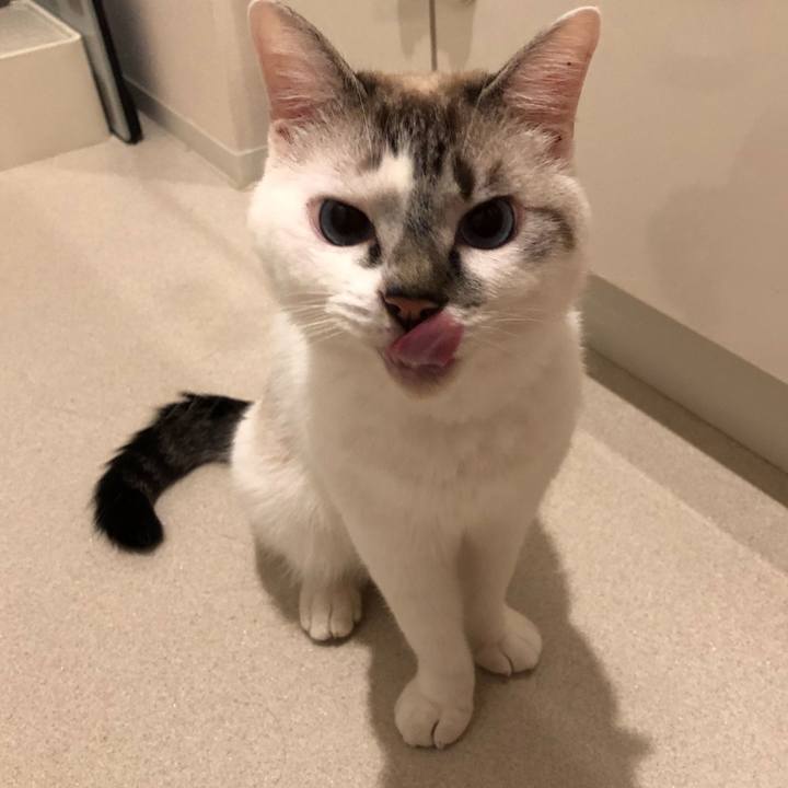 00f5b6ef 3d09 4ecf 9f94 fb04349a2909 1600482189806