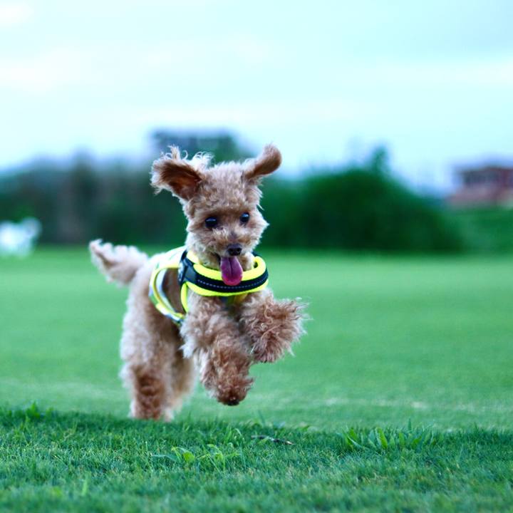 00f5c064 69eb 4b94 9be1 697043e6f301 1604844276578